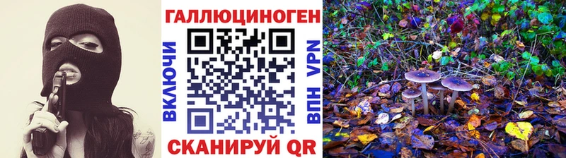 продажа наркотиков  Юхнов  Псилоцибиновые грибы мухоморы 